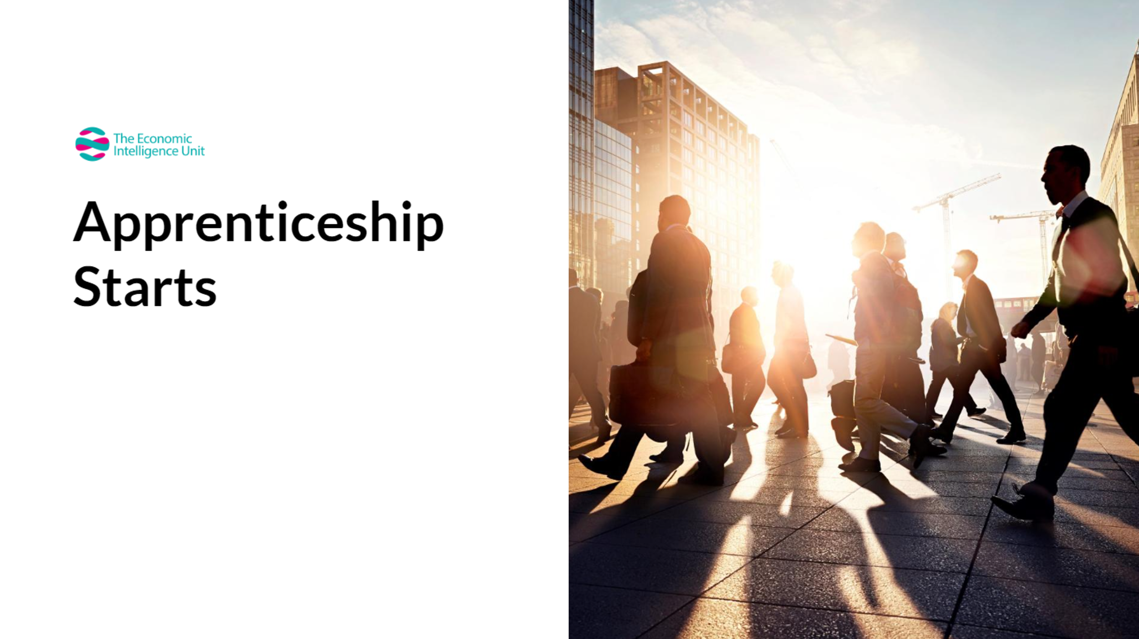Black Country Apprenticeship Starts | EIU
